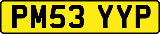PM53YYP