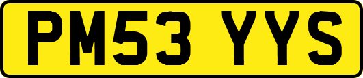 PM53YYS