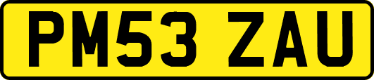 PM53ZAU