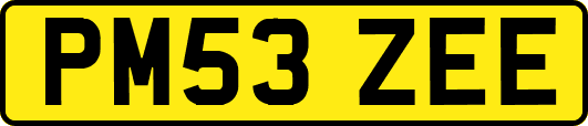 PM53ZEE