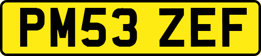 PM53ZEF