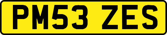 PM53ZES