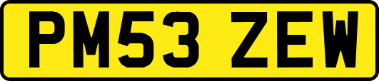 PM53ZEW