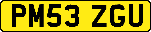 PM53ZGU