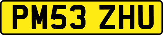 PM53ZHU