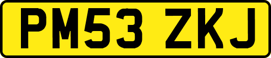 PM53ZKJ