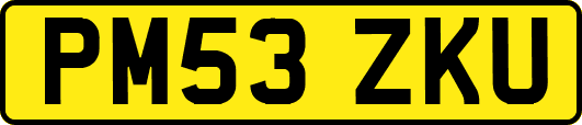 PM53ZKU