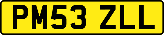 PM53ZLL