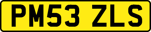 PM53ZLS