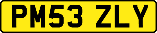 PM53ZLY