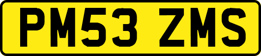 PM53ZMS