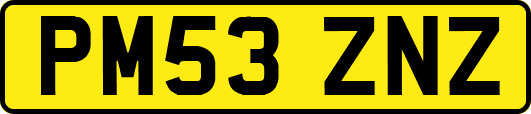 PM53ZNZ