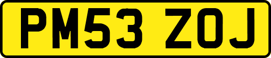 PM53ZOJ
