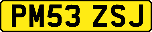 PM53ZSJ