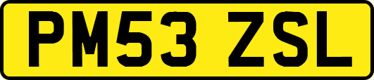 PM53ZSL