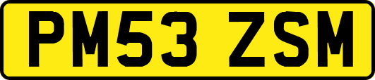 PM53ZSM
