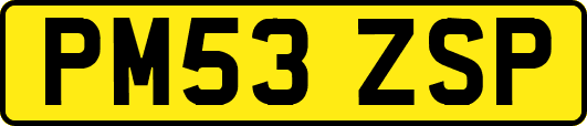 PM53ZSP