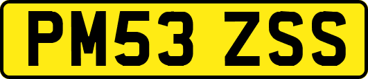 PM53ZSS