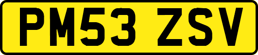 PM53ZSV