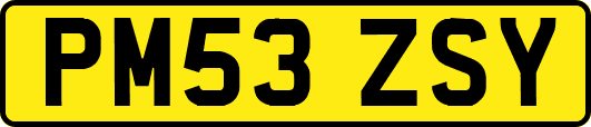 PM53ZSY