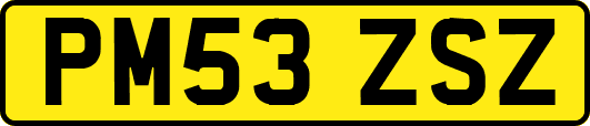 PM53ZSZ