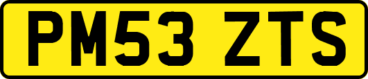 PM53ZTS