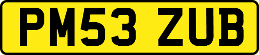 PM53ZUB