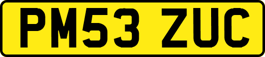 PM53ZUC