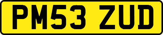 PM53ZUD
