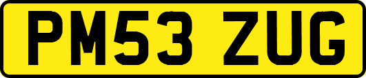 PM53ZUG