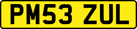 PM53ZUL