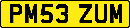 PM53ZUM