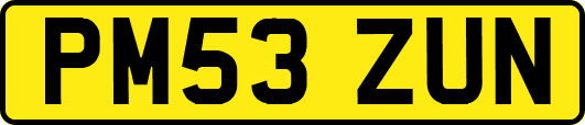 PM53ZUN