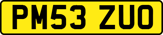 PM53ZUO