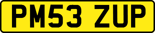 PM53ZUP