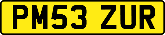 PM53ZUR