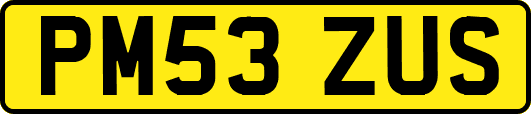 PM53ZUS