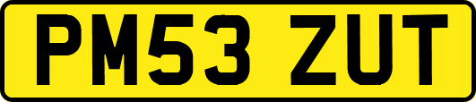 PM53ZUT
