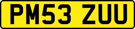 PM53ZUU
