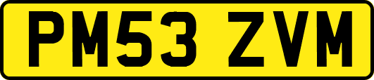 PM53ZVM