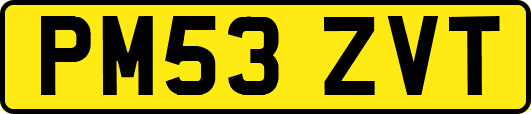 PM53ZVT
