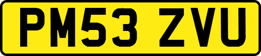 PM53ZVU