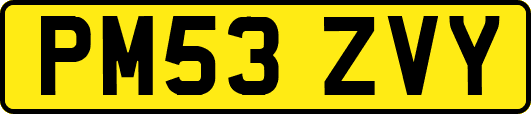 PM53ZVY