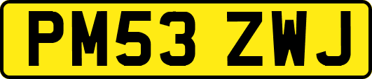 PM53ZWJ
