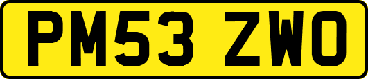 PM53ZWO
