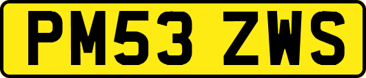 PM53ZWS