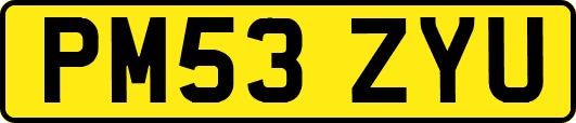 PM53ZYU