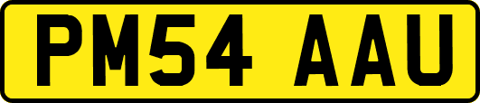PM54AAU