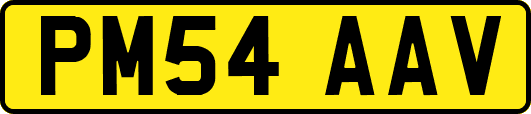 PM54AAV