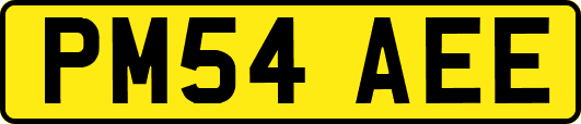 PM54AEE